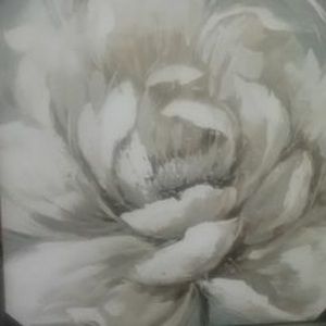 Meet your Posher, Oa